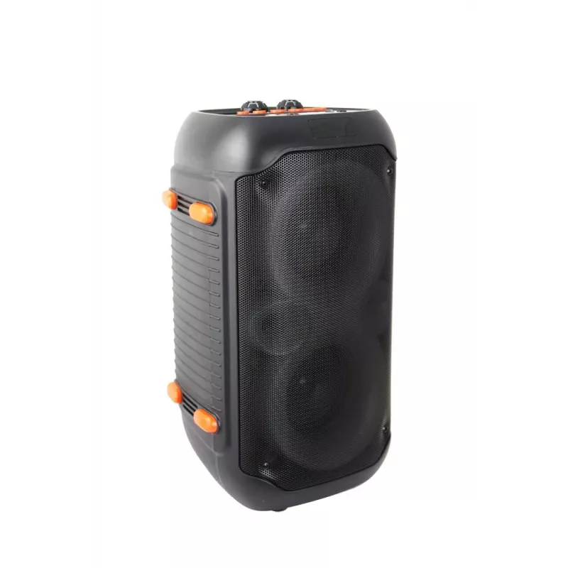 Altifalante KARAOKE Esperanza EP156 BT FM LED RGB Preto 20W