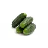 Sementes de pepino Wisconsin SMR 58 Toraf, embalagem de 5 g