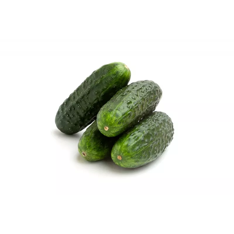 Sementes de pepino Wisconsin SMR 58 Toraf, embalagem de 5 g