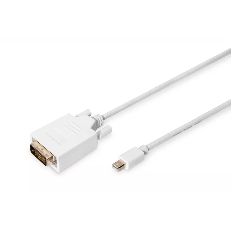 DIGITUS ASSMANN - Cabo adaptador - Mini DisplayPort (M)