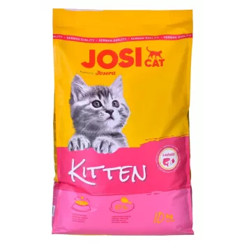 Alimento seco para gatinhos JosiCat Kitten 10 kg – alimento completo para gatinhos em crescimento