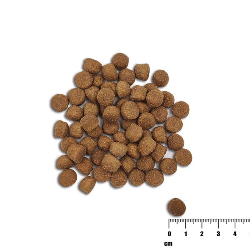 VETEXPERT Raw Paleo Healthy Grain Puppy Salmon & Barley ração seca para cachorros, 10 kg