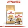Royal Canin FBN Maine Coon Adult ração seca para gatos, 10 kg