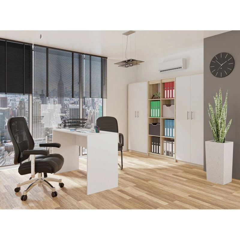 Arquivo OLIV 2D 74x35x180 cm, carvalho Sonoma/branco