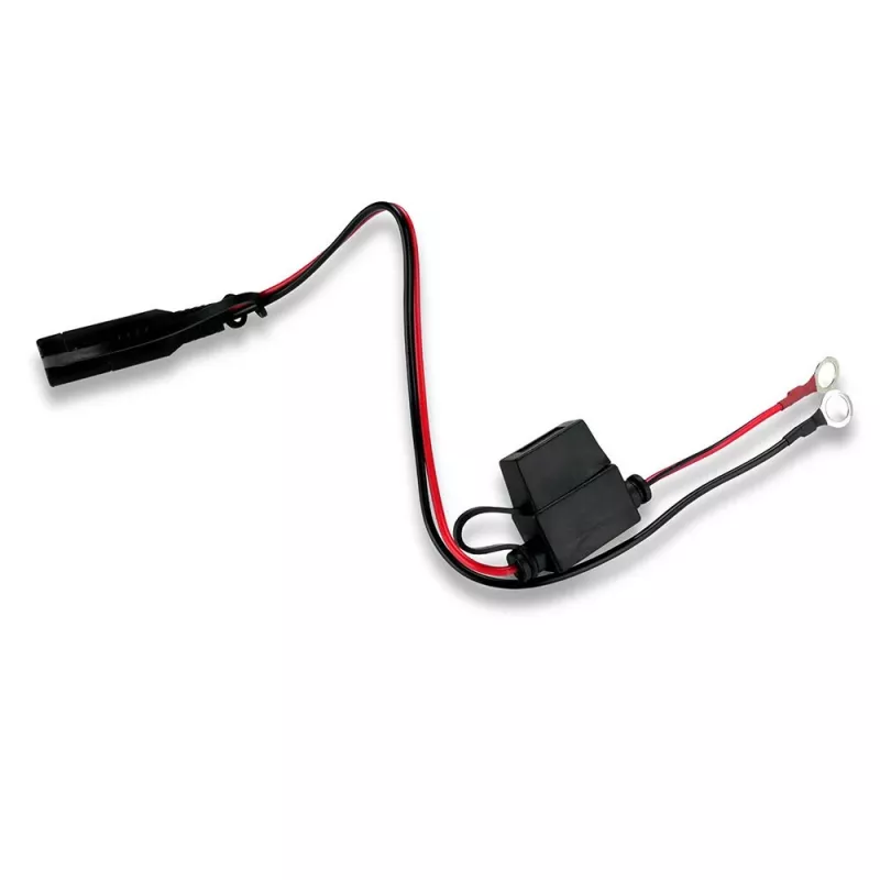 Carregador de bateria de automóvel everActive CBC1 6V/12V