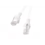 Lanberg PCU5-20CC-0200-W Cabo patch Cat.5e U/UTP, 2 m, Branco, pack de 10