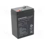 Bateria de chumbo-ácido europower EP4.5-6 6V 4,5Ah
