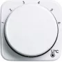 Placa de cobertura Busch-Jaeger 1794 R-214 para suporte e caixa de sensor branco (2CKA001710A4191)