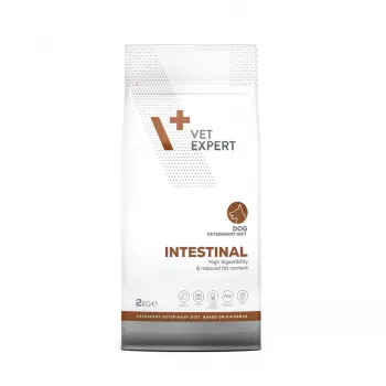 VET EXPERT Veterinary Diet Intestinal Dog - Alimento seco para cães - 2 kg