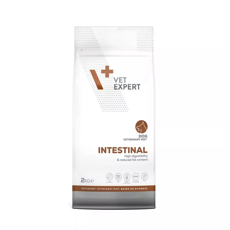 VET EXPERT Veterinary Diet Intestinal Dog - Alimento seco para cães - 2 kg