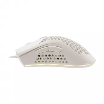 Baracuda BGM-032 Coral branco