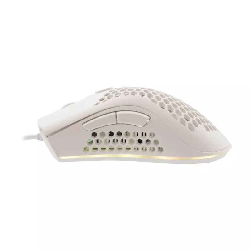 Baracuda BGM-032 Coral branco
