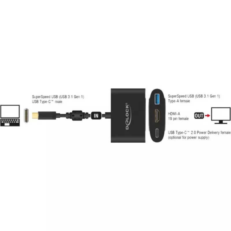 DeLOCK - Adaptador de vídeo externo - VL101 - USB-C 3.1 - HDMI - cinzento - retail (62991)