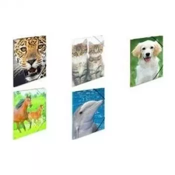 Dossier polipropileno (PP) HERMA 7139 A4 multicolor