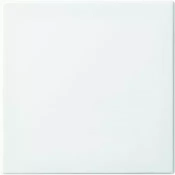 Moldura de cobertura Busch-Jaeger Busch-balance SI branco alpino para interruptores simples/comutadores e botões (modelo 2506-914)