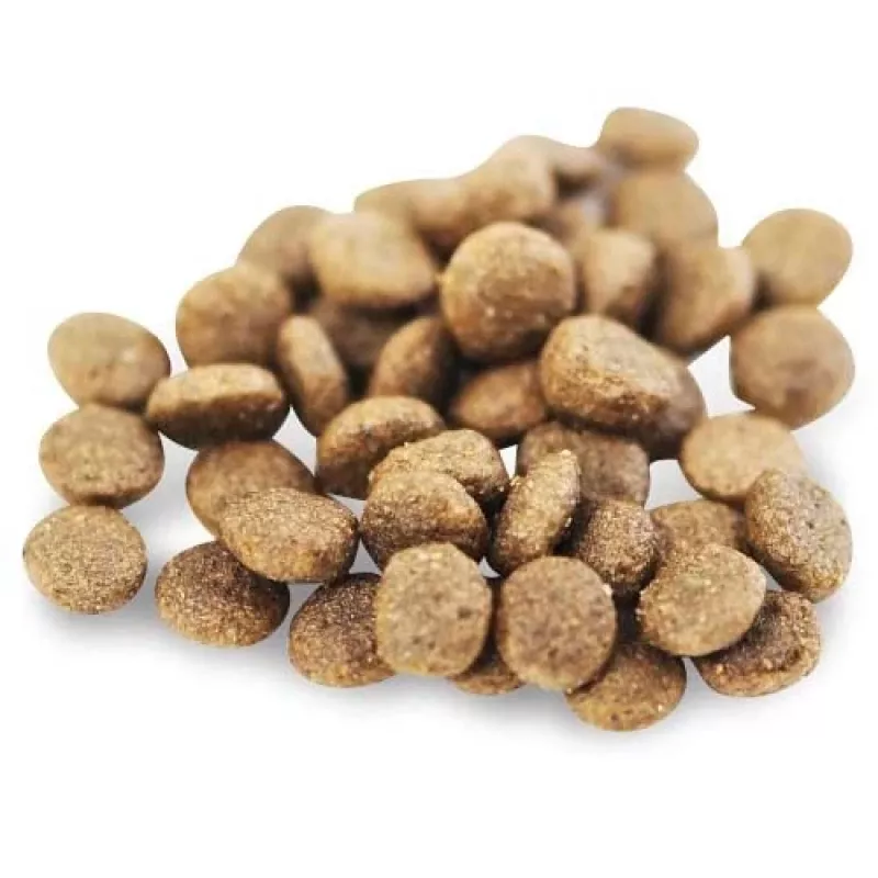 Fish4Dogs Superior Senior S com salmão ração seca para cães de raças pequenas, 1,5 kg