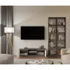 RTV 120 MALWA antracite/branco