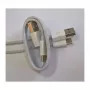 Cabo Synergy21 USB 3.0 A (macho) => C (macho) 1,0m **