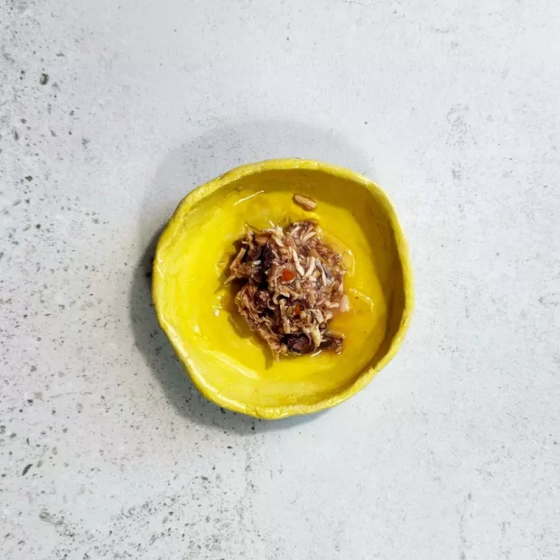 Ollo Atum & Frango com Salmão em Caldo Nº 2 70g