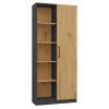 Módulo superior de estante Topeshop RD-80 ANT/ART KPL, 10 prateleiras, aglomerado, 800×300×1820 mm