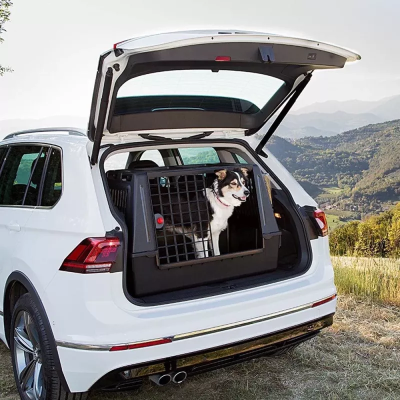 FERPLAST Atlas Car 100 Scenic, caixa de transporte de animais para o carro