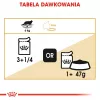 ROYAL CANIN FBN Maine Coon - Comida húmida para gatos - Saqueta 12x 85g