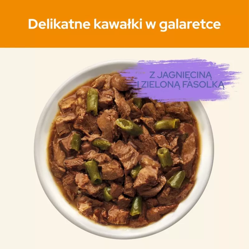 PURINA Cat Chow Cordeiro, feijão-verde - comida húmida para gatos - 10x85 g