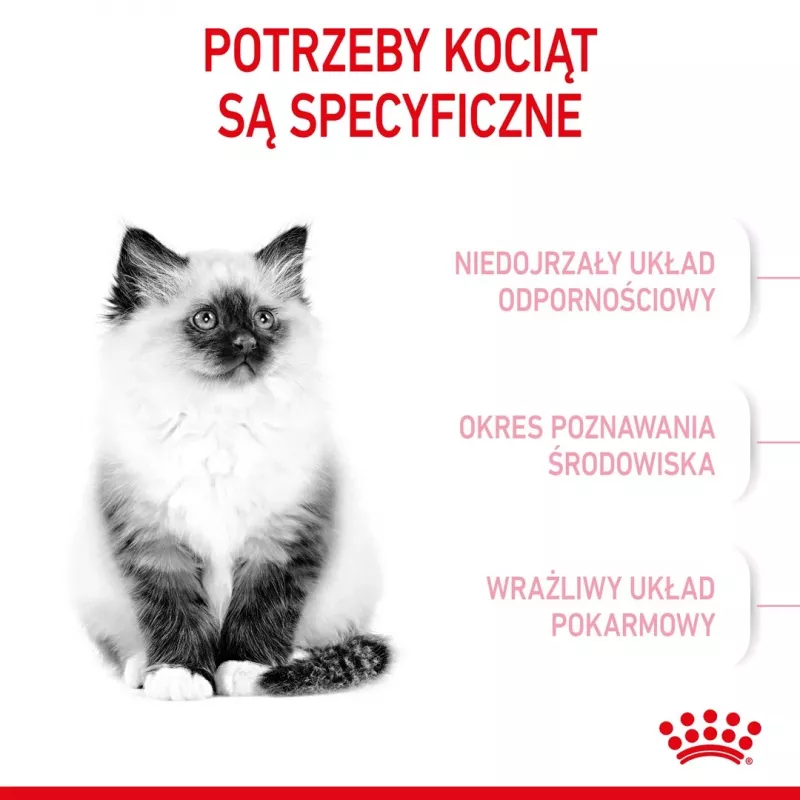 Royal Canin FHN Kitten ração seca para gatinhos, 4 kg