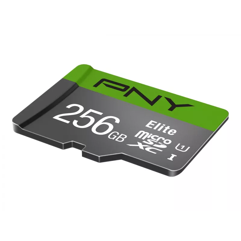 PNY Elite 256 GB MicroSDXC UHS-I Classe 10
