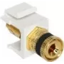 Módulo Keystone DeLOCK 86303