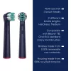 Beurer TB Clean Eco Green Planet cabeças de escova, azul-escuro, pack de 4