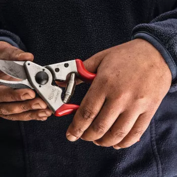 Felco | Tesoura de poda para canhotos | FELCO 16