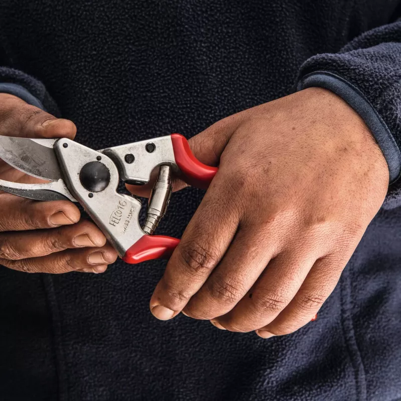 Felco | Tesoura de poda para canhotos | FELCO 16