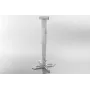 Suporte de teto Celexon 1090283