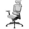 Cadeira de escritório Sharkoon OfficePal C50M — assento acolchoado, encosto em rede, preta, encosto 49 × 63 cm, largura do assento 50 cm