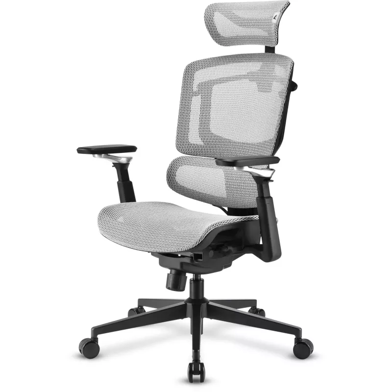 Cadeira de escritório Sharkoon OfficePal C50M — assento acolchoado, encosto em rede, preta, encosto 49 × 63 cm, largura do assento 50 cm