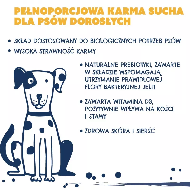 TEO rica em aves - comida seca para cães - 9kg