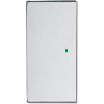 Busch-Jaeger 2CKA006220A0048 Placa de cobertura para suporte e base de sensor prateado (2CKA006220A0048)