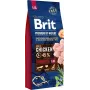 Brit Premium by Nature Senior Large / Extra Large comida seca para cães, frango, 15 kg