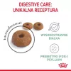 Royal Canin Digestive Care Adult ração seca para gatos, 10 kg, peixe, aves, arroz, legumes