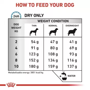 Comida seca para cães Royal Canin Anallergenic Small – receita hipoalergénica para cães adultos de raça pequena, 3 kg, sabor a carne, sem glúten e sem açúcar
