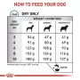 Comida seca para cães Royal Canin Anallergenic Small – receita hipoalergénica para cães adultos de raça pequena, 3 kg, sabor a carne, sem glúten e sem açúcar