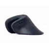 Gembird MUSW-ERGO-03 Rato Casa Destro RF Sem fios Ótico 1600 DPI
