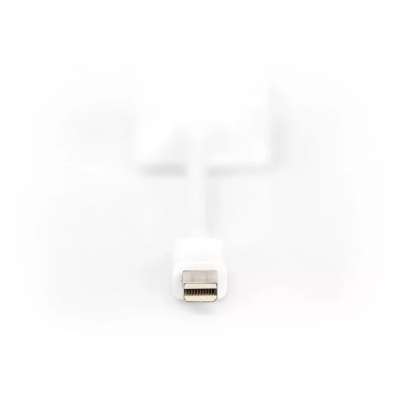 Cabo adaptador DisplayPort Digitus DB-340407-001-W