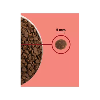 ACANA Highest Protein Interior Cat - Alimento seco para gatos - 4,5 kg