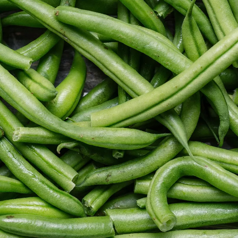 Sementes de feijão Nomad Green Dwarf, 50g - sementes de hortícolas
