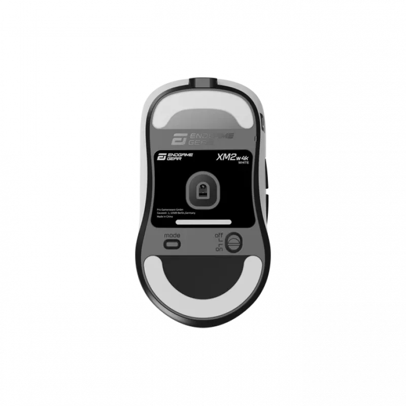 Rato Endgame Gear XM2w 4k Wireless
