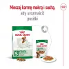 ROYAL CANIN Adult Mini S - Ração seca para cães - 2 kg