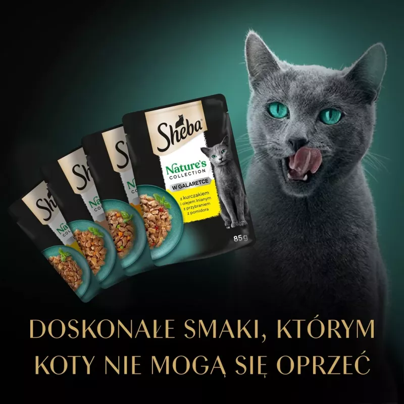 SHEBA Nature's Collection sabores de aves em geleia - alimento húmido para gatos - 40 x 85g