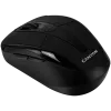 Rato Canyon CNR-MSOW06B RF Wireless